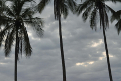 ManuelAntonioCostaRica_5x7